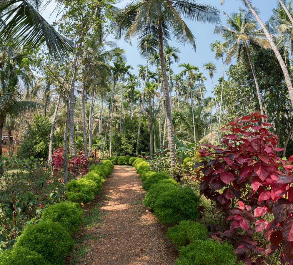 Kahani Paradise Gokarna  Exteriér fotografie